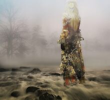 The Lady of the Lake by David Kessler