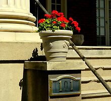 A City Stoop (#101) by ctheworld