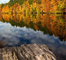 Autumn Day by Karol Livote