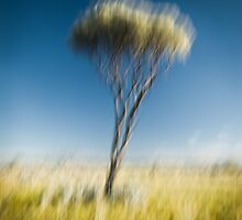 Way out West - A Collection of Images from Australia's Interior by Liam Byrne