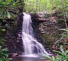 Gentry Creek Falls iPad Case by Annlynn Ward