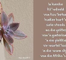 'n Plekkie in die Son by Rina Greeff