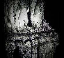 A Mysterious Cave. by Erin Quinn