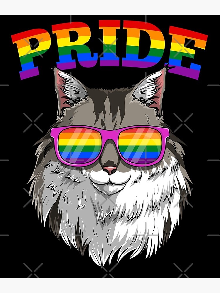 Gay Pride Maine Coon Cat With Lgbt Rainbow Sunglasses Poster For Sale