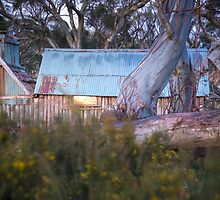 The Window's Story by Mark Lucey