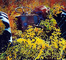 Lt. Colonel, Retired by Donna Jill Witty