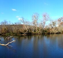 Haw river dam and waterfalls by Samohsong