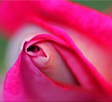 Hidden Treasure by Chet King