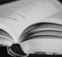 REDREAMING READ by REDREAMER