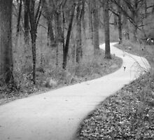 The Unknown Path by Brian Gaynor