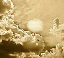 CLOUDED EGRET by NICK COBURN PHILLIPS