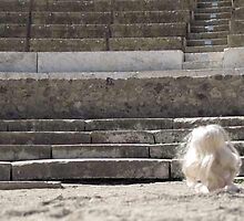 My Colosseum in Pompeii by VeronicaPurple