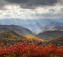 Blue Ridge Parkway Fall Foliage - The Light by Dave Allen