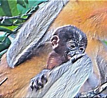 CLING TO SURVIVAL by NICK COBURN PHILLIPS