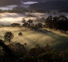 Gently Awakening by debsphotos