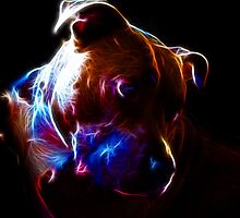 Illumination by Deanna Maxwell