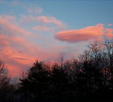 Torpedo In The Sky by Ginny York