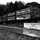 Art Photography - Beamish Museum Coal Wagons by axp7884