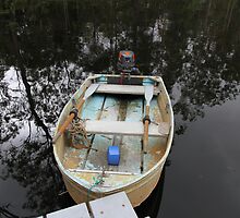 Rescued From The Brisbane Floods by aussiebushstick