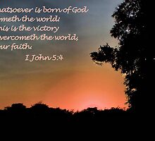 And this is the Victory. . . by aprilann