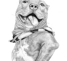 Zeus by Deanna Maxwell