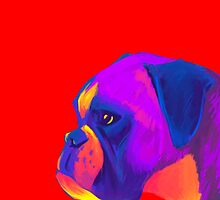 Boxer (Red) by shakusaurus
