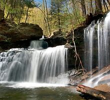 New Beginnings At R. B. Ricketts Waterfall by Gene Walls