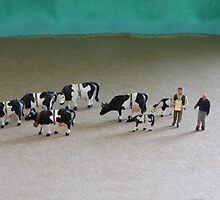 Bert can’t believe he got such a great deal on ebay for this herd of Belted Galloways! by Susan Littlefield