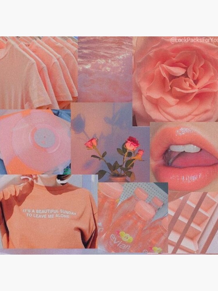 Soft Girl Pink Aesthetic Collage Photographic Print By Cloudy Moon