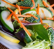 Fresh Vegetable Salad on Angle by dbvirago