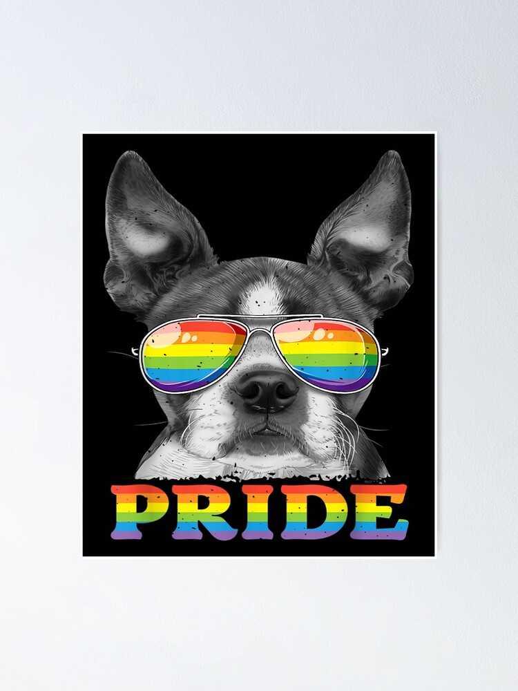 Boston Terrier Gay Pride Lgbt Rainbow Flag Sunglasses Lgbtq Poster