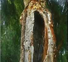 The Scream by Chet King