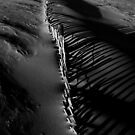 IPhone Case Design: Sand Fence Shadows by axp7884