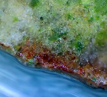 The End Of The Earth (Nephrite Jade) by Stephanie Bateman-Graham