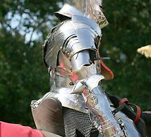 Medieval knight in shining armour by Maxine Collins