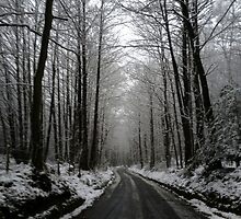The Dusting... by supernan