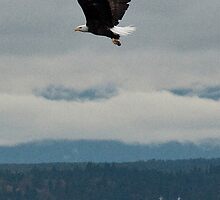 Two Northwest icons by Robin Nellist