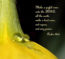 Make a Joyful Noise Unto the Lord by aprilann