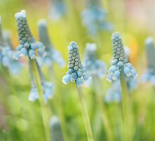 new beginnings by Teresa Pople