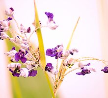 Happiness is...appreciate grasses that protect the soil and bloom tiny flowers to the earth... by Kornrawiee