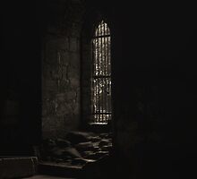 Kirkstall Abbey Chapter house by Tim Waters