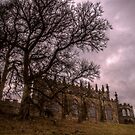 HDR Auckland Castle, Deer Park View by axp7884