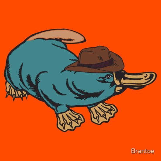 perry vs a real platypus