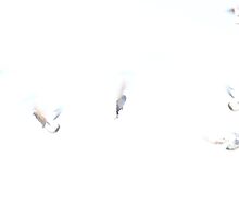 Dreaming of Flying by Lisa Knechtel