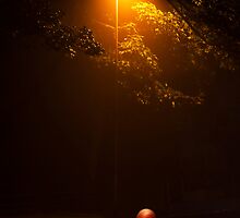 The Red Balloon by Svetlana Sewell