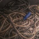 Another Fine Mess by axp7884