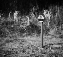 No Fracking Here by Scott Mitchell