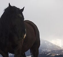 Promise & Mountains by UILFineArts