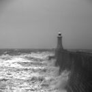 Troubled Waters by axp7884