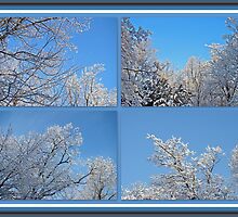St. Valentine's Day Snowstorm by MotherNature